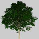 Download 3d cad models, 3d max textures, 3d help