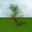 Tree generick