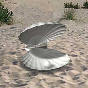Shell 3D Model Preview #388a5a09