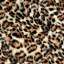 Animal I