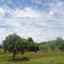 Fundo 04