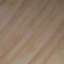 sand stone india