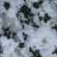 Granite