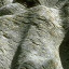 Ground