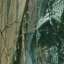 Bark