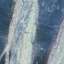 Bark