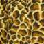 Textile
