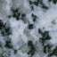 Granite