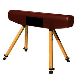 vaulting gym 3D Model Preview #26b36980