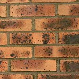 Wall