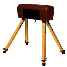 vaulting gym 3D Model Preview #3c2e4a64