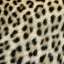 Textile