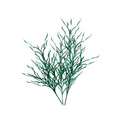 tree small 3D Model Preview #7dac8337