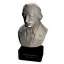 Bust
