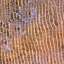 Textile
