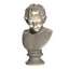 Bust