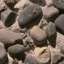 Stone