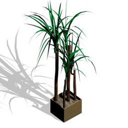 palma-decor - 3D Model Preview #57bf0306