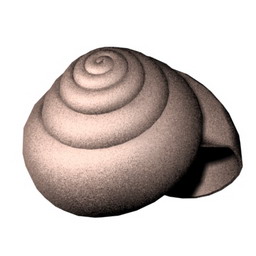 cochlea - 3D Model Preview #7f9dd8bd