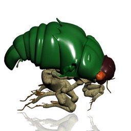 bug - 3D Model Preview #2e9e1393