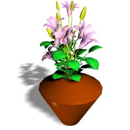 lilly - 3D Model Preview #defba197
