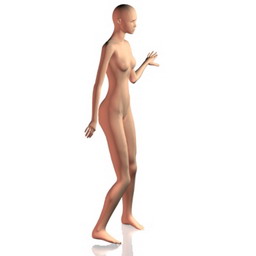 manikin-3 - 3D Model Preview #9900daaa