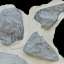 Stone