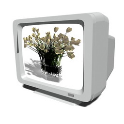 3D Monitor preview
