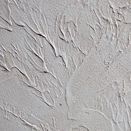 Wall