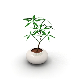 3D Pot preview