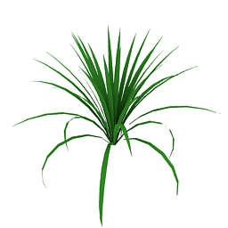 3D Plant preview