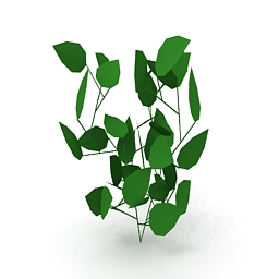 3D Plant preview