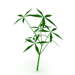 3D Plant preview