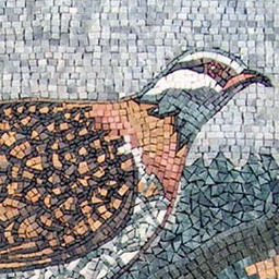 Mosaic