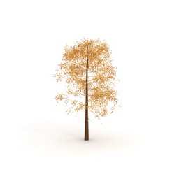 autumn-leaves - 3D Model Preview #8502f268