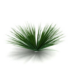 bush 3D Model Preview #10c53f25