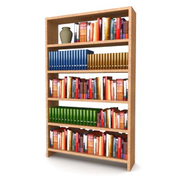 bookcase 2 3D Model Preview #34493998