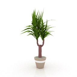 yucca - 3D Model Preview #d3f07529