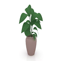 ficus  3D Model Preview #08cc7666