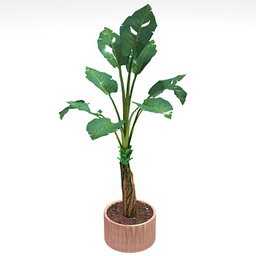 palm - 3D Model Preview #d5208497