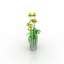 Jonquils