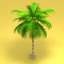 Palm Tree