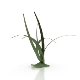 plant lp 3D Model Preview #2d71b418