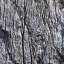 Bark
