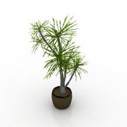 plant 001 3D Model Preview #d5af8873