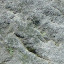 Rock