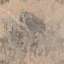 Stucco