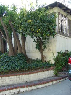 Architectural Home Design — Base — Los Angeles, United States
