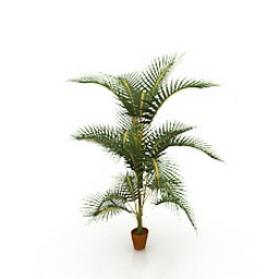 palm green 3D Model Preview #83728cf9