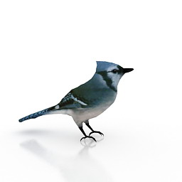 chest bird 3D Model Preview #82aec1f3